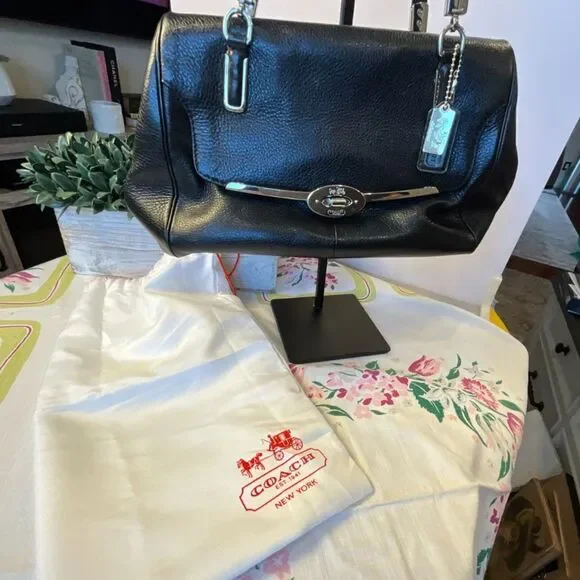 Coach Madison Madeline pebbled leather East/West Satchel silver hardware - Picture 2 of 9